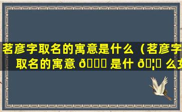 茗彦字取名的寓意是什么（茗彦字取名的寓意 🐘 是什 🦁 么女孩）